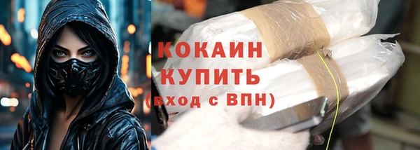 крисы Богородицк
