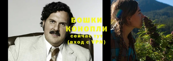 дурь Богородск