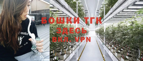 крисы Богородицк