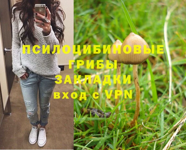 крисы Богородицк