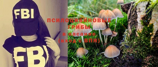 таблы Богданович