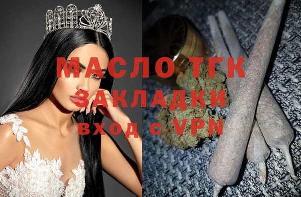 крисы Богородицк