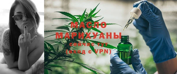 крисы Богородицк